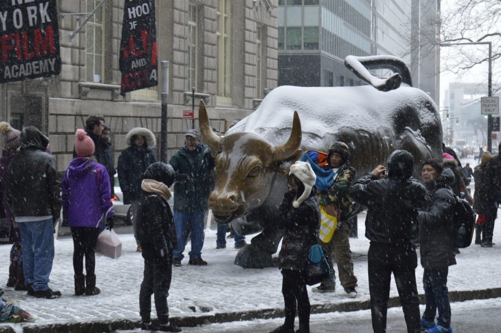 Charging Bull with snow