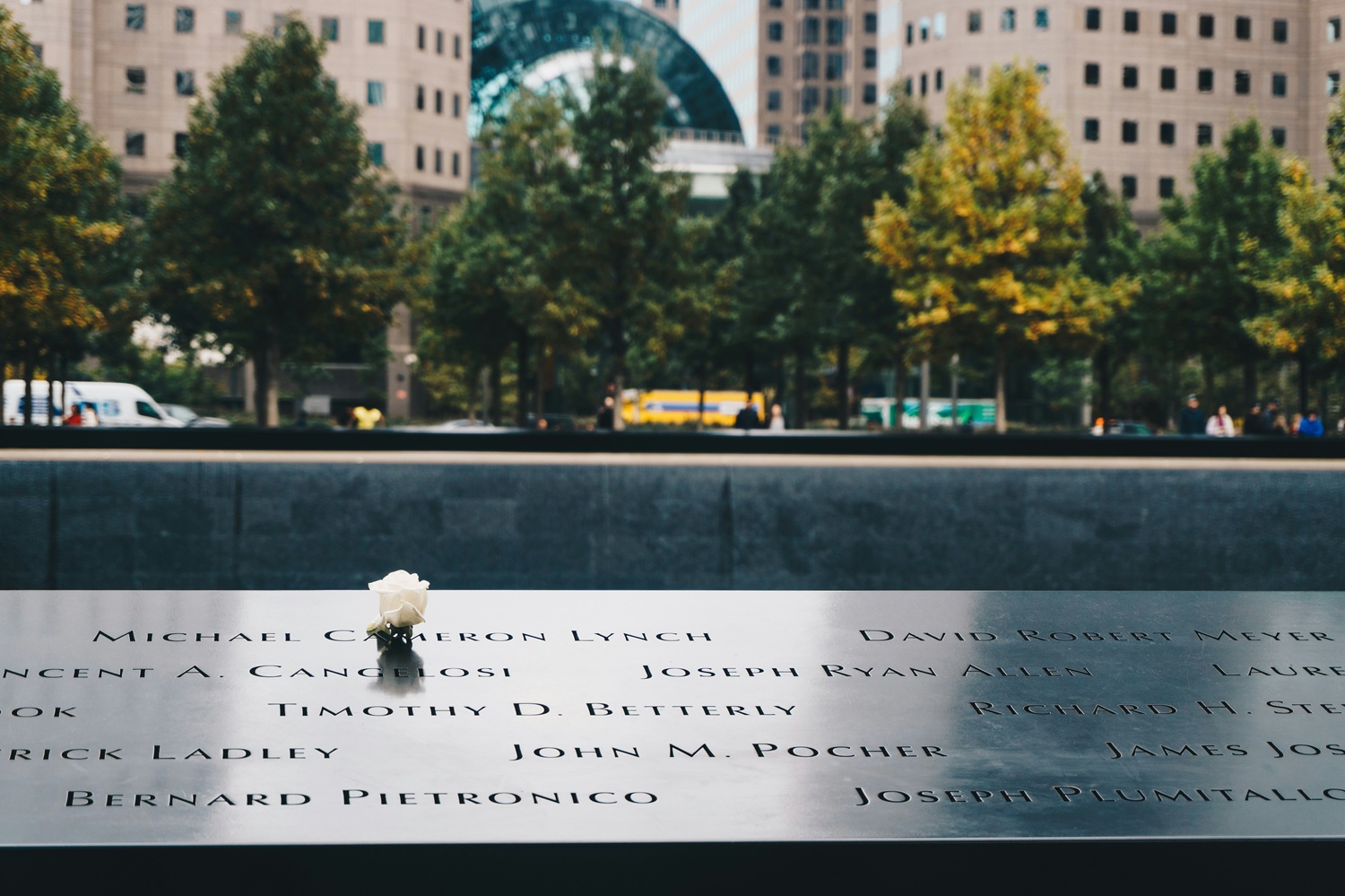 9-11 Memorial Park in New York City